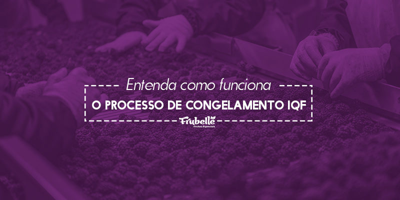 Entenda-como-funciona-o-processo-de-congelamento-IQF