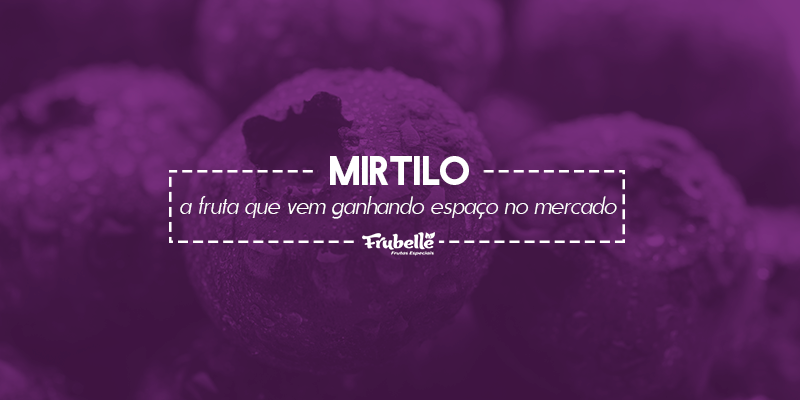 Mirtilo-a-fruta-que-vem-ganhando-espaço-no-mercado