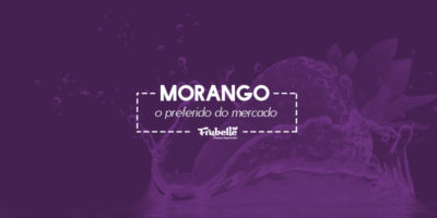 Modelo-Frubelle