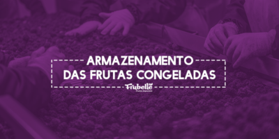 Armazenamento-das-Frutas-Congeladas